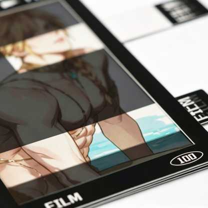 Custom Reversal film of the camera
